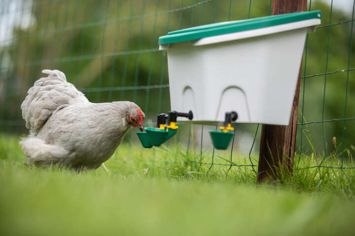 AviAqua Geflügeltränke